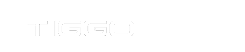 Tiggo 3X