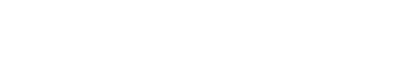 Arrizo 6